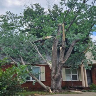 damaged-tree-seen-fallen-on-home-near-13th-and-evanston